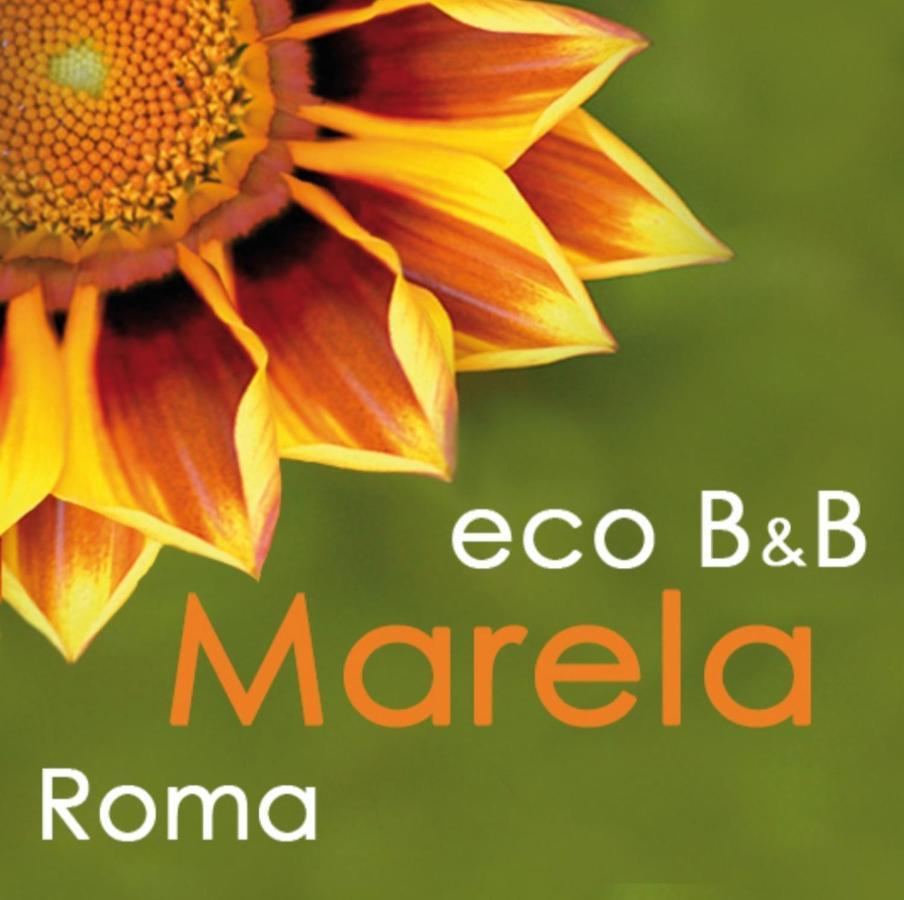 Eco B&B Marela Rome Exterior photo